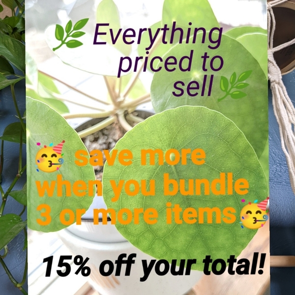 Meet your Posher, Cassandra - Picture 6 of 6